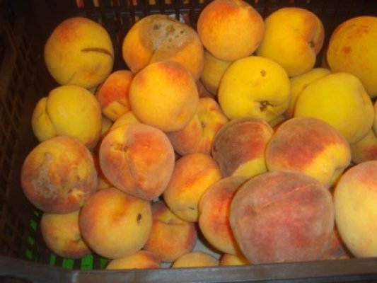 Supermarketul Kaufland, amendat de două ori: pentru reclamă mincinoasă şi pentru fructe stricate